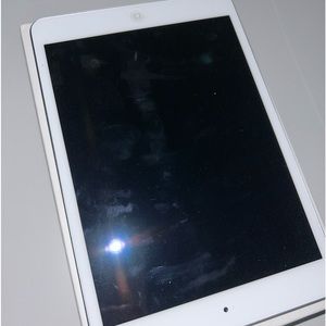 iPad mini 2